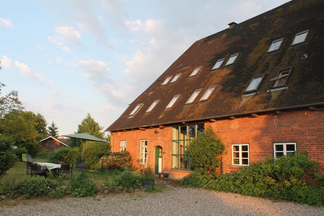 Das Abendrote Haus Gomnitz Zewnętrze zdjęcie